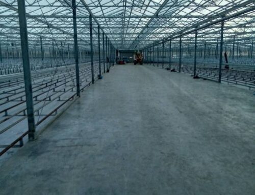 New Project Completed: East Anglia